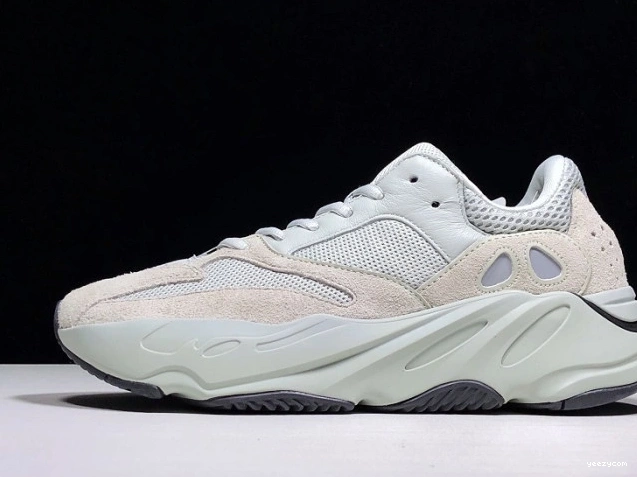 Salt EG7487 v2 Adidas Boost Yeezy 700 0822
